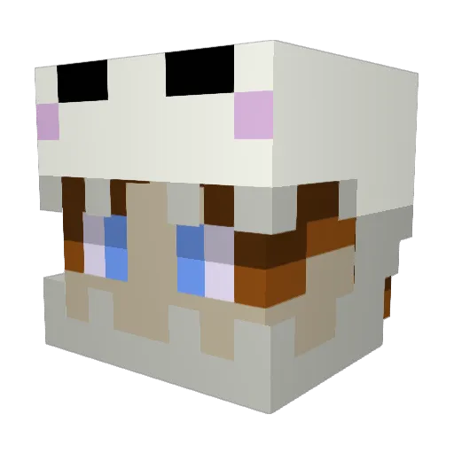 beluga_mot Minecraft avatar head, 3D render