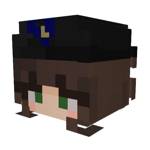 belverry Minecraft avatar head, 3D render