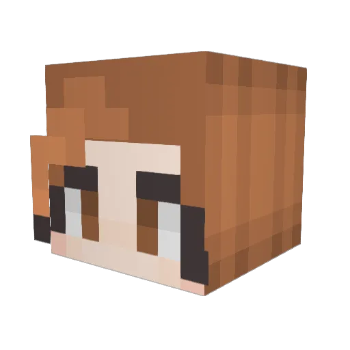 belxded Minecraft avatar head, 3D render