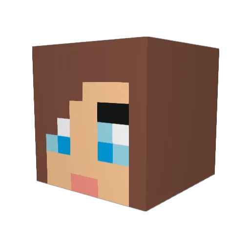 bemo303 Minecraft avatar head, 3D render