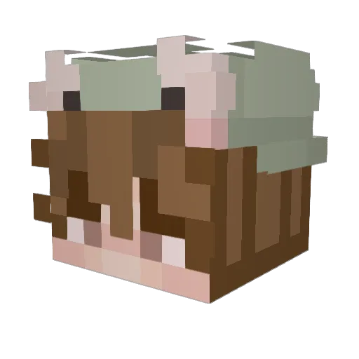 bemphibian Minecraft avatar head, 3D render