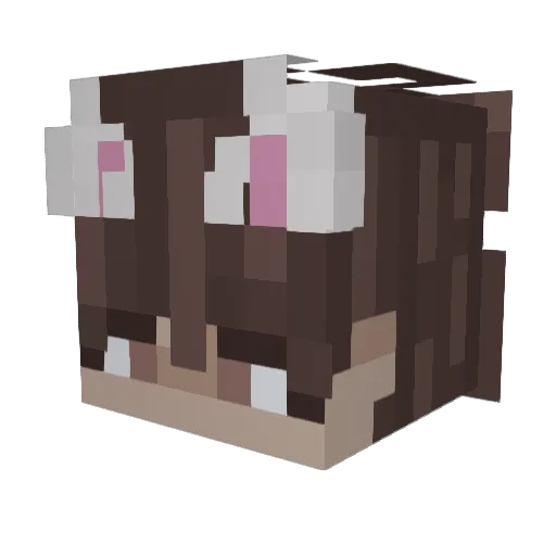 ben10progamer Minecraft avatar head, 3D render