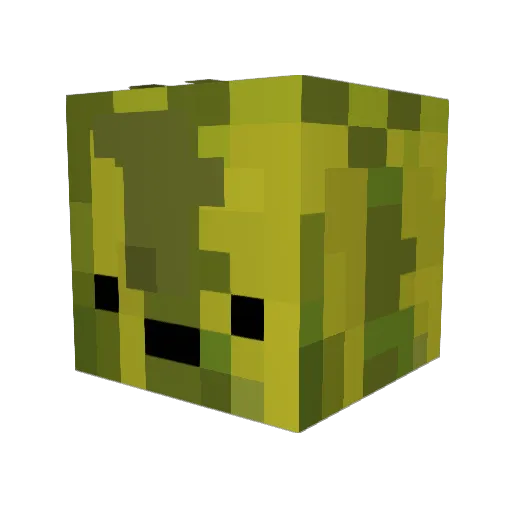 ben1596 Minecraft avatar head, 3D render