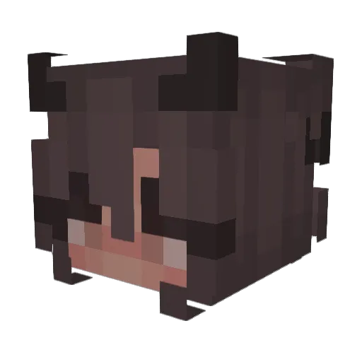 ben3333444 Minecraft avatar head, 3D render