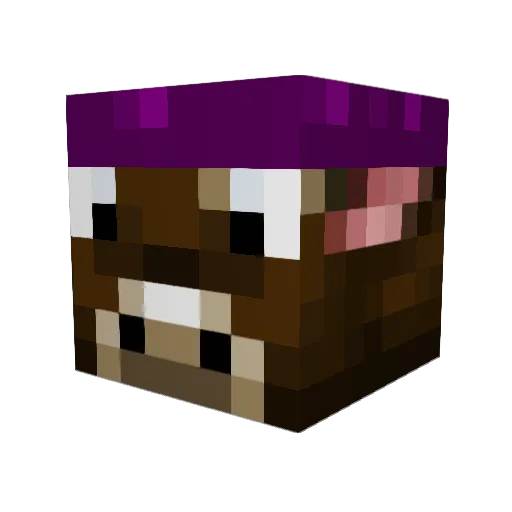 ben8763 Minecraft avatar head, 3D render