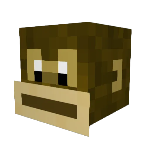 ben_no_net Minecraft avatar head, 3D render