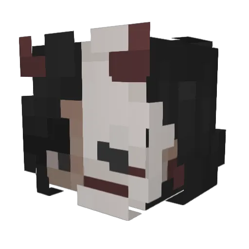 benace Minecraft avatar head, 3D render