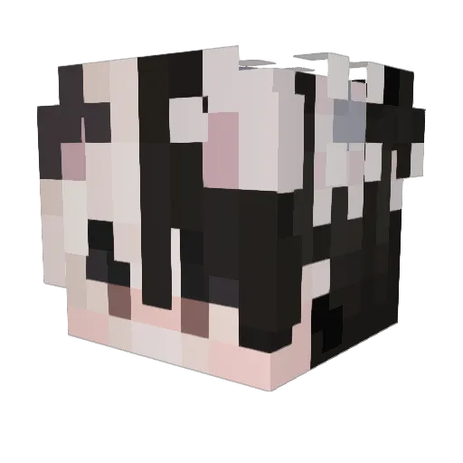benawesome2019 Minecraft avatar head, 3D render