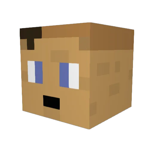 bencort100 Minecraft avatar head, 3D render
