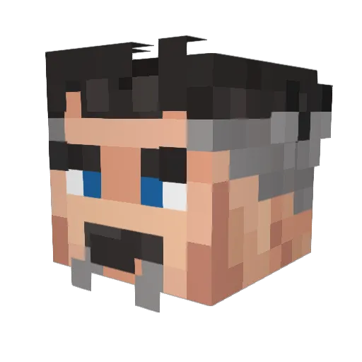 benefittor Minecraft avatar head, 3D render