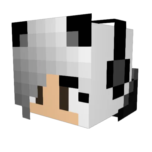 benermanfuge Minecraft avatar head, 3D render