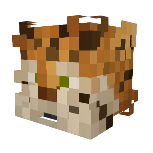 bengal5 Minecraft avatar head, 3D render