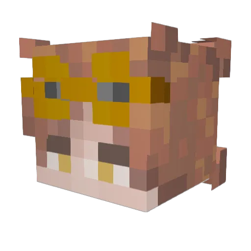 bengly Minecraft avatar head, 3D render