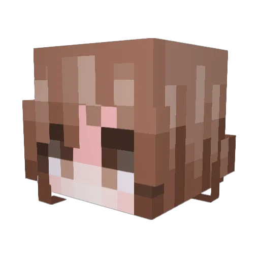 benisshygo Minecraft avatar head, 3D render