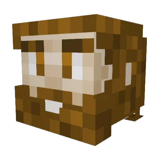 benj3979 Minecraft avatar head, 3D render