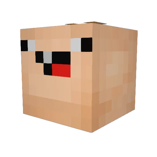 benja1124 Minecraft avatar head, 3D render