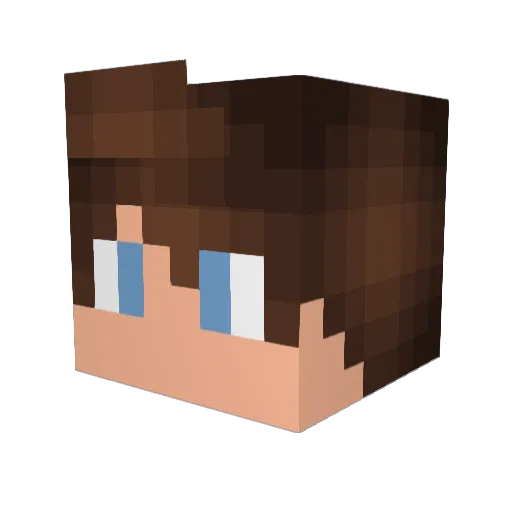 benja9788 Minecraft avatar head, 3D render