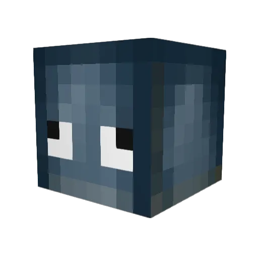 benjaboo2007 Minecraft avatar head, 3D render