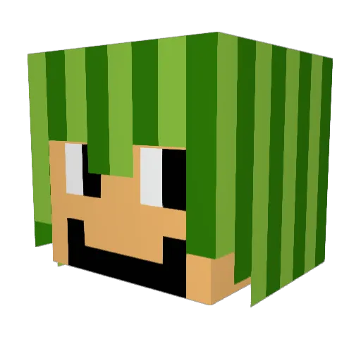 benjamin10256 Minecraft avatar head, 3D render