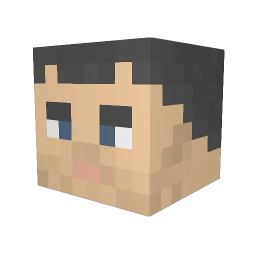 benjeeeee Minecraft avatar head, 3D render