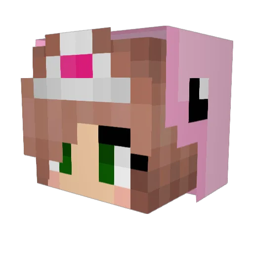 benjicatsop Minecraft avatar head, 3D render