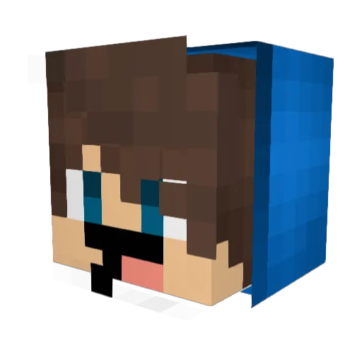 benjidu56190 Minecraft avatar head, 3D render