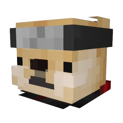 benjiisdabest Minecraft avatar head, 3D render