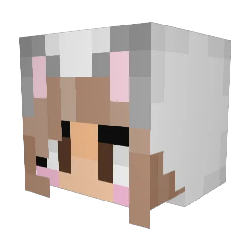 benjiman_law Minecraft avatar head, 3D render