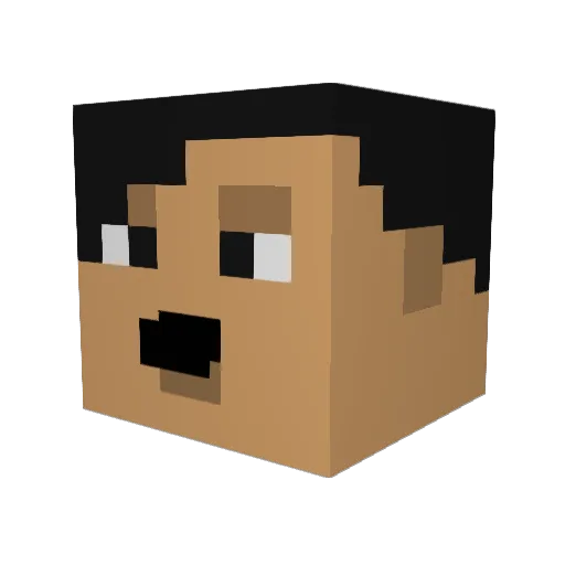 benjipro1 Minecraft avatar head, 3D render
