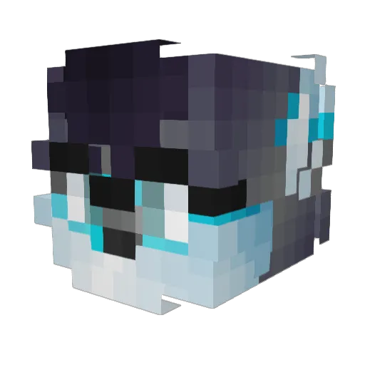 benjiwuff Minecraft avatar head, 3D render