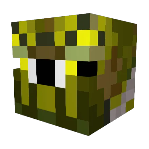 benjjeh Minecraft avatar head, 3D render