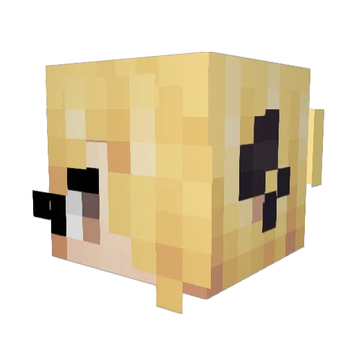benjoneitor Minecraft avatar head, 3D render