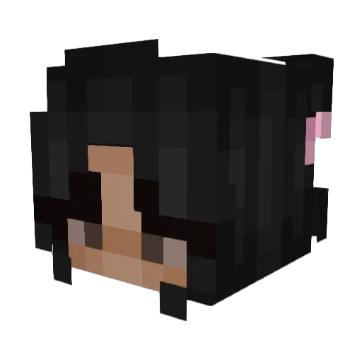 benkj235 Minecraft avatar head, 3D render