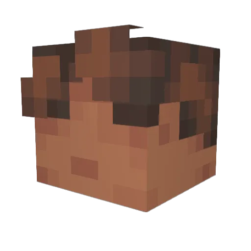 bennie1012 Minecraft avatar head, 3D render