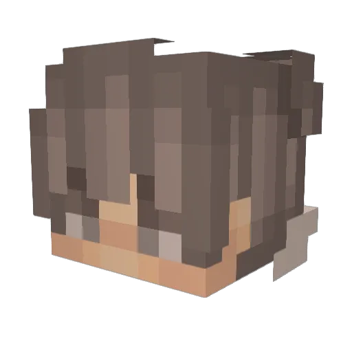 benny1999 Minecraft avatar head, 3D render