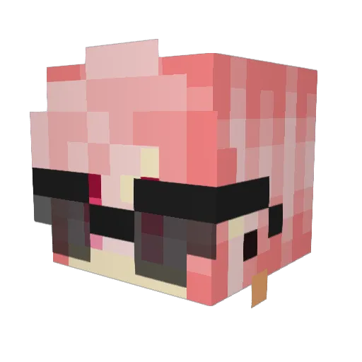 bensas6 Minecraft avatar head, 3D render