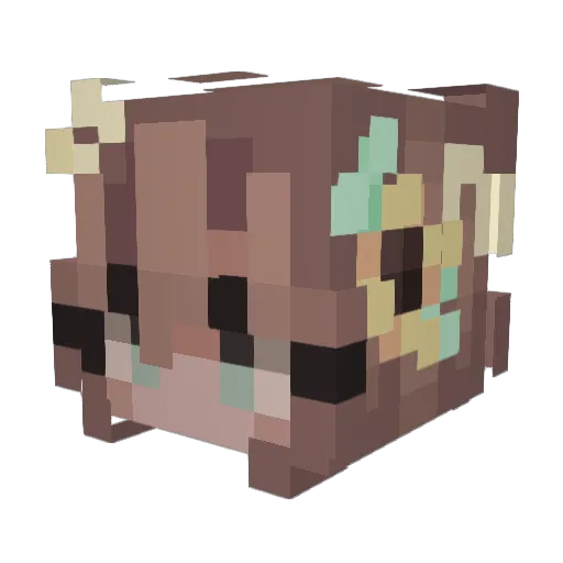 bentjee77 Minecraft avatar head, 3D render
