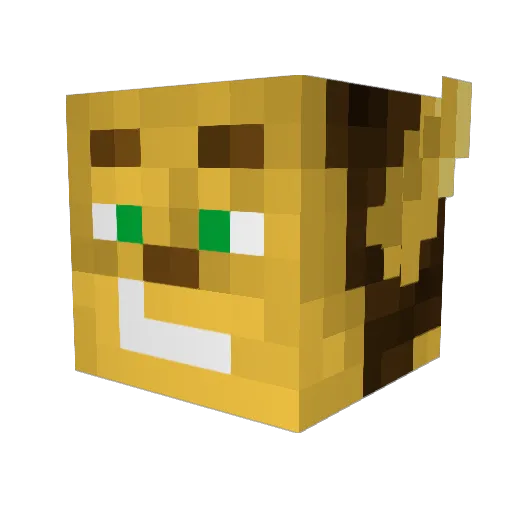 benwyn Minecraft avatar head, 3D render