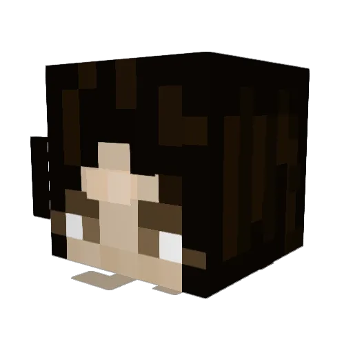 beom201103 Minecraft avatar head, 3D render