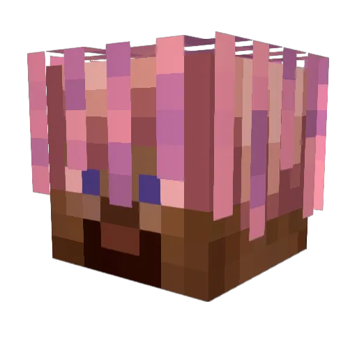 beos Minecraft avatar head, 3D render
