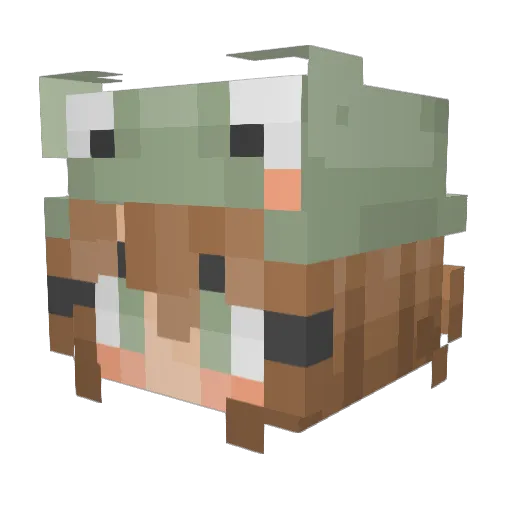 beowulf1609 Minecraft avatar head, 3D render