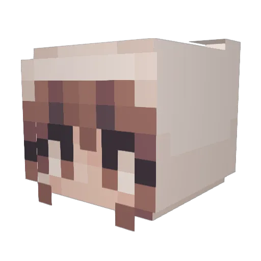 bepbepshep Minecraft avatar head, 3D render