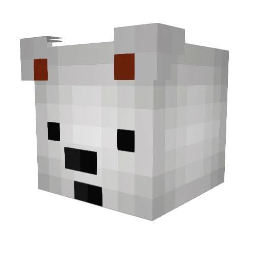 bepolar21 Minecraft avatar head, 3D render