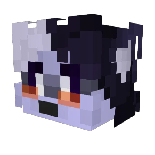 bepsobismol Minecraft avatar head, 3D render