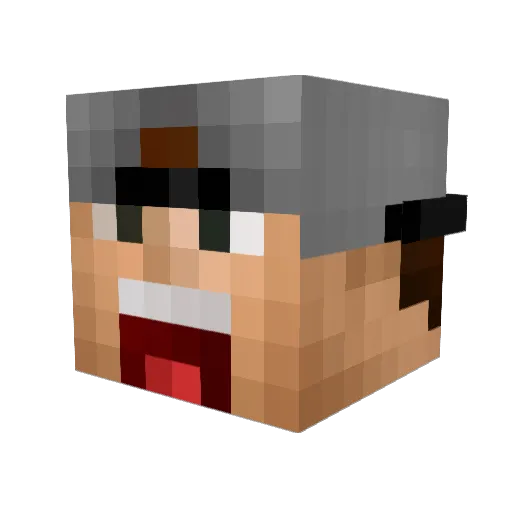 berdan5314 Minecraft avatar head, 3D render