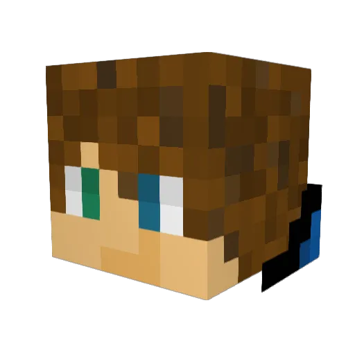 bereal25 Minecraft avatar head, 3D render