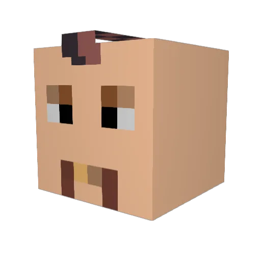 bergi87 Minecraft avatar head, 3D render