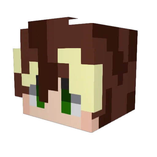beriez Minecraft avatar head, 3D render