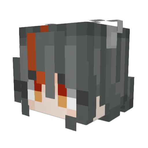 berjandlecan Minecraft avatar head, 3D render