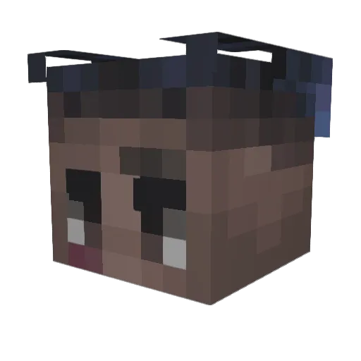berkboomin Minecraft avatar head, 3D render